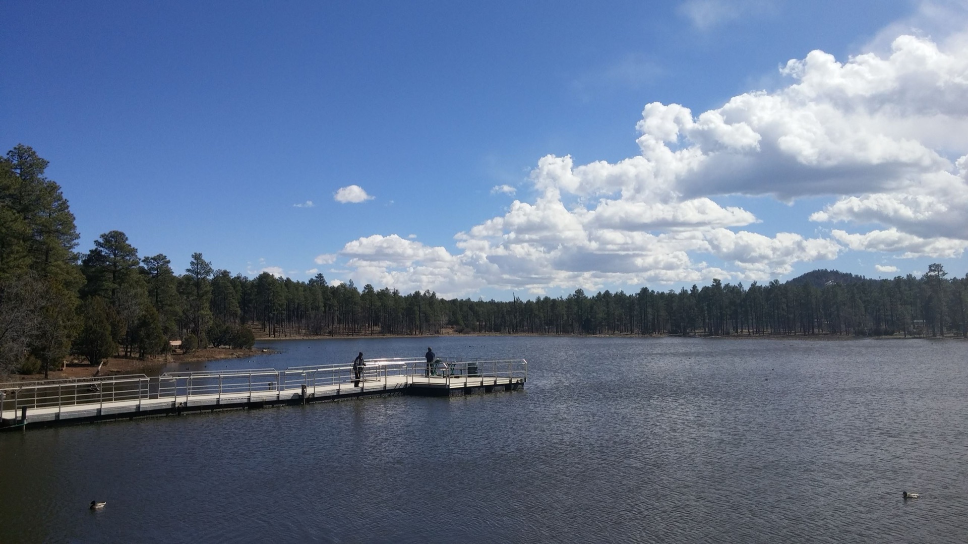 Woodland Lake Park